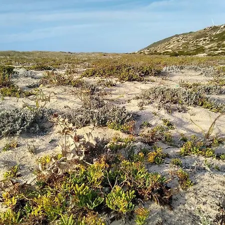 Apartment Gino's House *