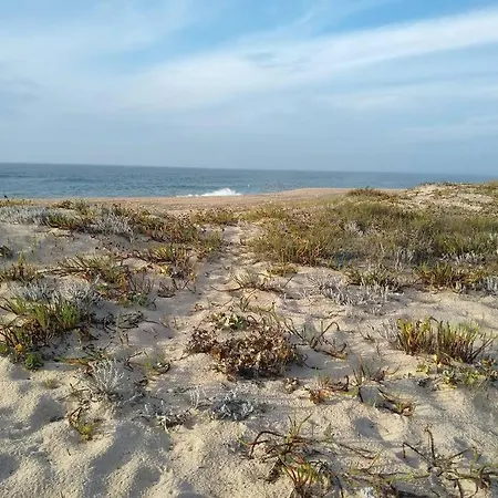 Gino's House Apartment Nazare