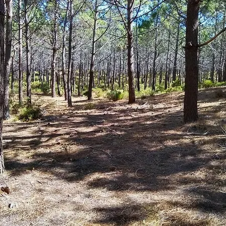 Appartement Gino's House