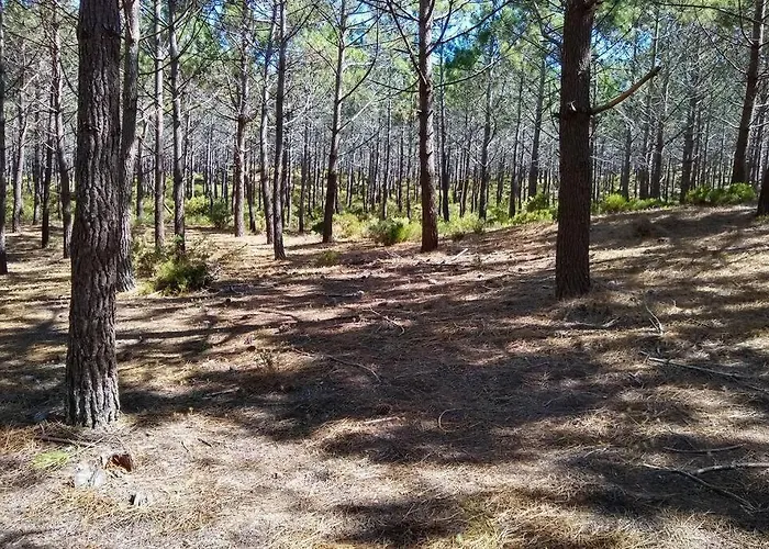 Apartament Gino's House