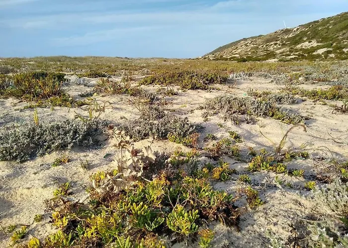 Apartament Gino's House *