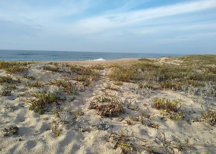 Gino's House Apartament Nazaré